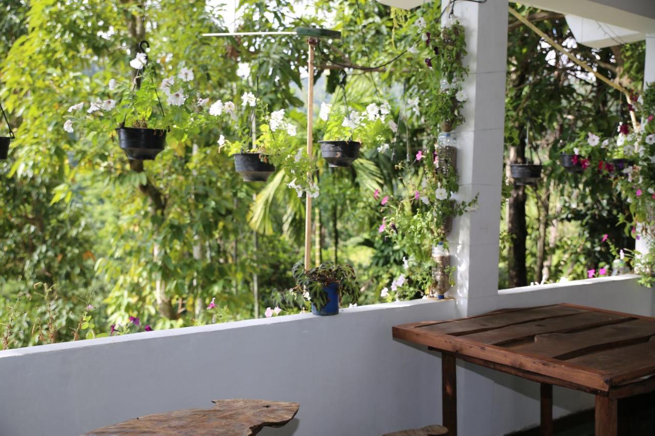 Dream Nest Ella Exterior foto